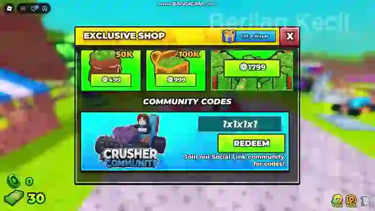 The Exclusive Shop in Build and Kill Zombies with a code typed into the Community Codes redeem box